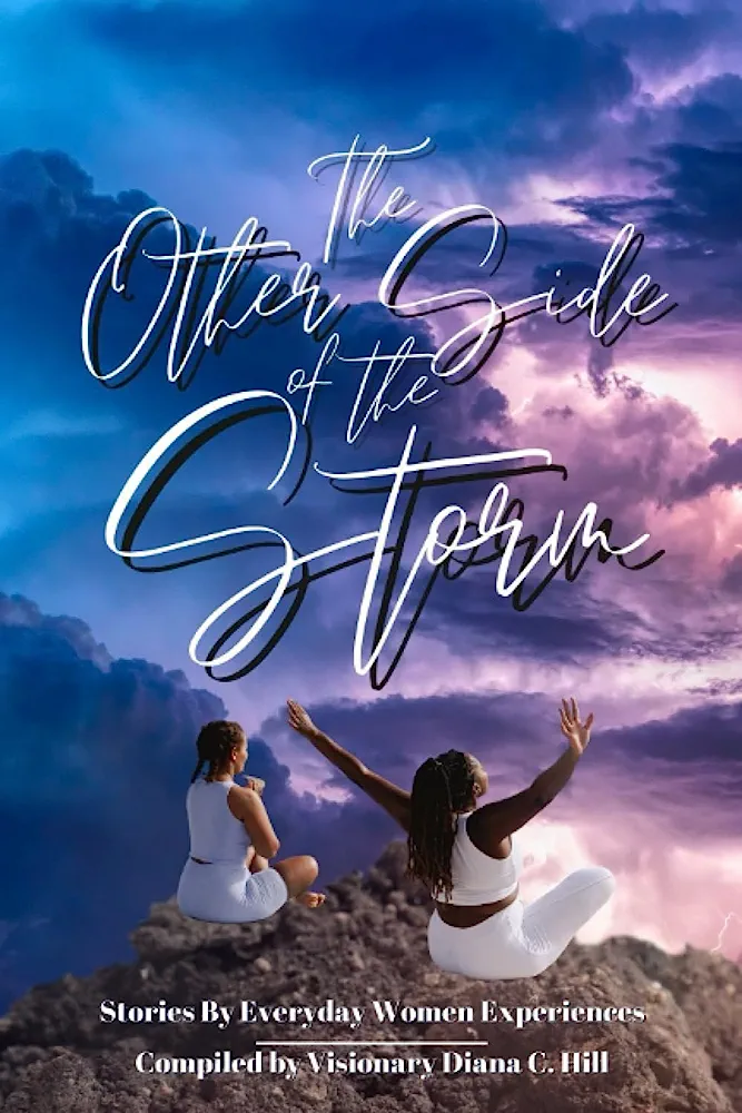 The image shows a book cover with two people sitting on a rock, contemplating the sky, titled The Other Side of the Storm and mentions Diana C. Hill.
