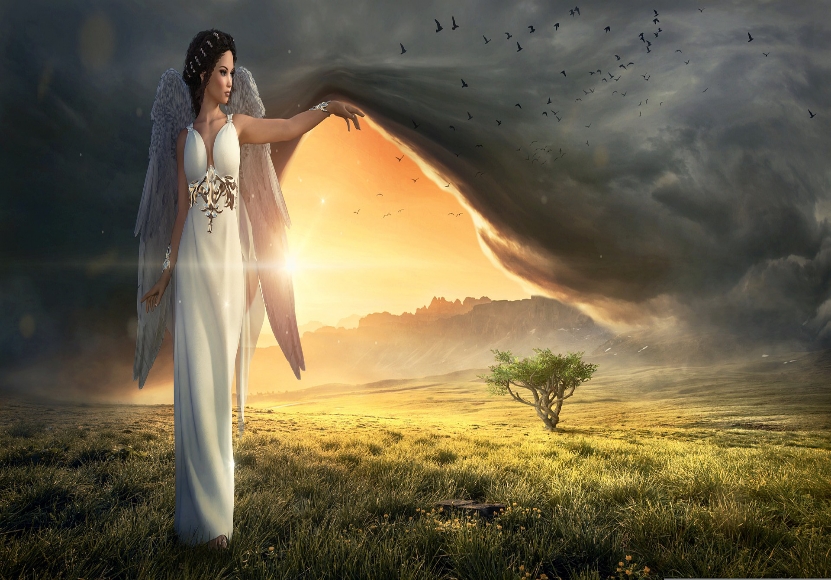 A woman with angel wings stands in a grassy field, extending her hand toward a swirling flock of birds under a dramatic sky.
