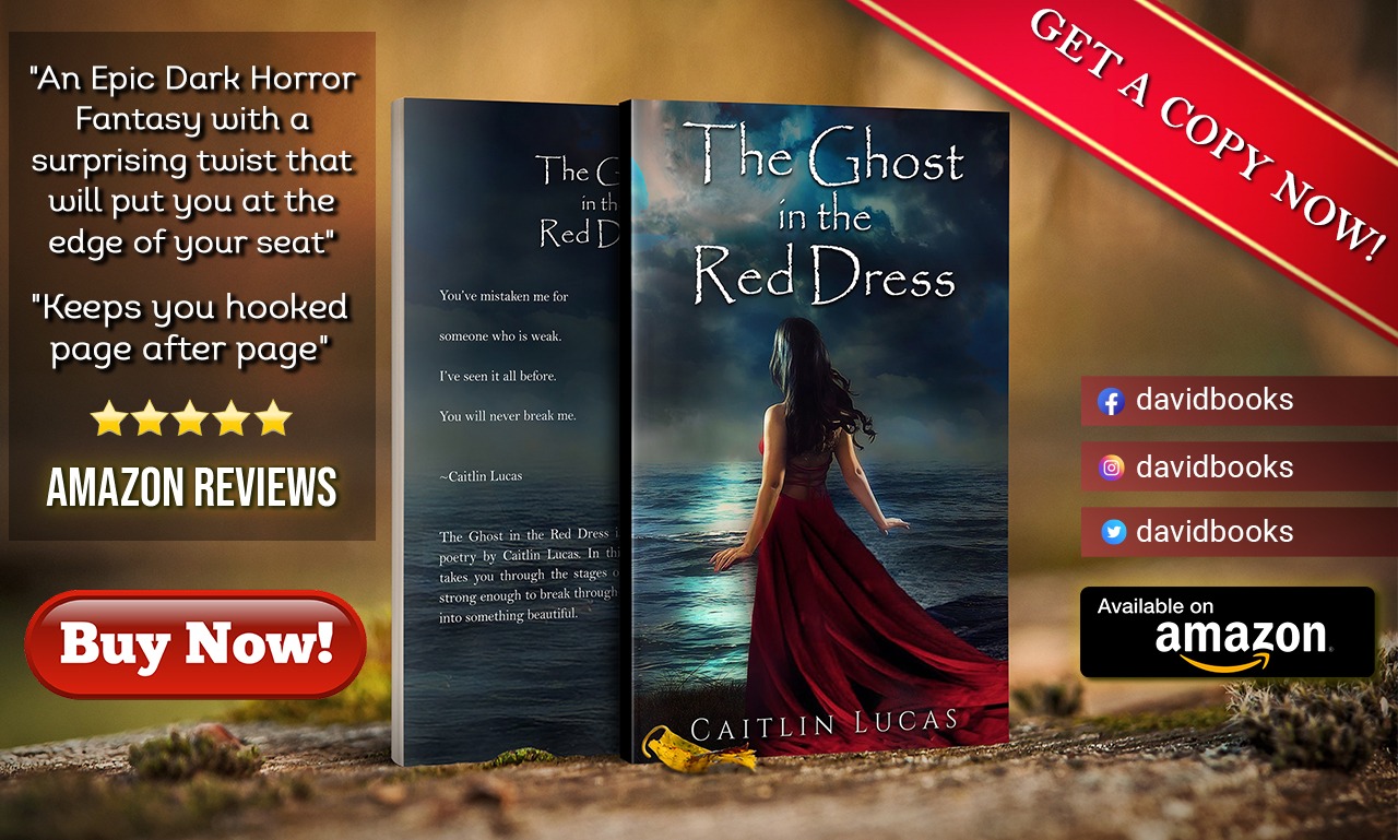 A promotional graphic for a book titled The Ghost in the Red Dress featuring positive reviews and purchase details with Amazon branding.